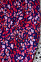 Lise Tailor - Scintille - VISCOSE LENZING&trade; ECOVERO&trade;