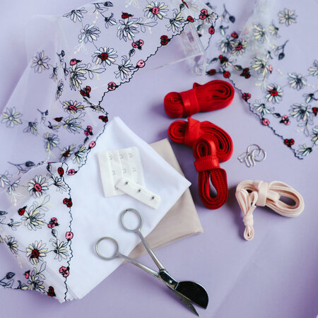Madalynne X Simplicity 8229 BRA SEWING KIT: Ladybug