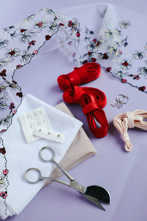 Madalynne X Simplicity 8229 BRA SEWING KIT: Ladybug