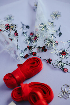 Madalynne X Simplicity 8229 BRA SEWING KIT: Ladybug