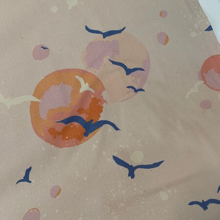Paintbrush Studio Fabric - Sky Gazing Light Pink CANVAS