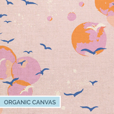 Paintbrush Studio Fabric - Sky Gazing Light Pink CANVAS