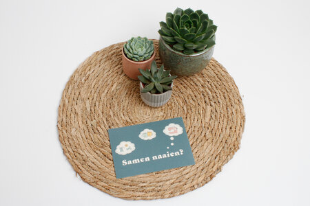 Ansje 'Sew Naais' Kaartenset - Limited Edition