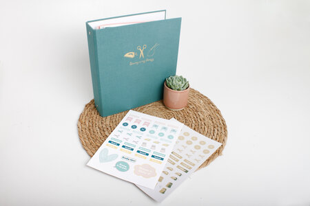 Ansje Naaiplanner Stickers 'colour&gold' - Limited Edition