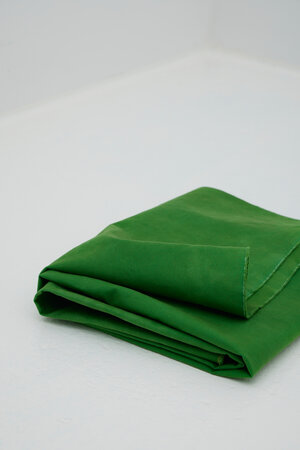 mindtheMAKER - HEAVY WASHED CANVAS - Lizard