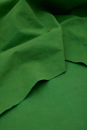 mindtheMAKER - HEAVY WASHED CANVAS - Lizard