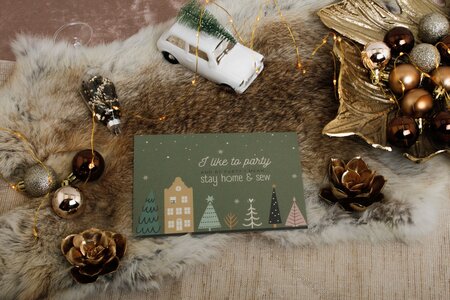 Ansje Kerstkaart I like to party - Limited Edition