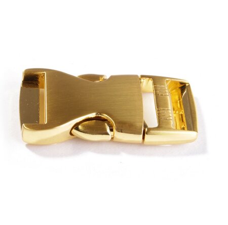 Ceintuur/tas en siergesp 25 mm goud