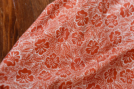 Lise Tailor - Florilège Orange - BIOKATOEN SWEAT