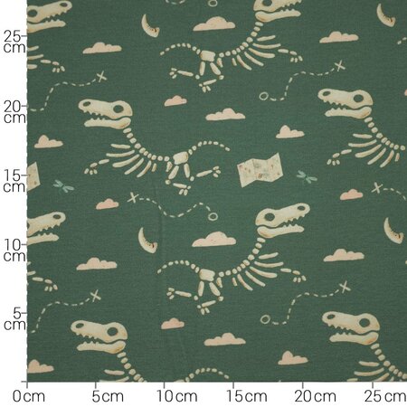 Hilco - Little Explorer Dark Green FRENCH TERRY - OEKO-TEX