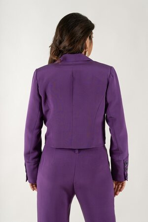 Clématisse - Tess COLBERT