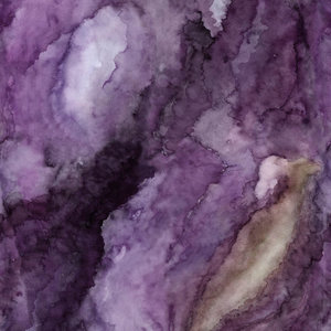 Astrokatze CREATIVITY (lila/purple) € 26 p/m french terry/summersweat (organic) 