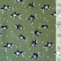 COUPON 160 CM Mereen - Fishy green JERSEY
