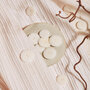 Atelier Brunette CORDUROY Off White