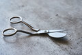 SEWPLY - Duck Bill Scissors