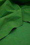 mindtheMAKER - HEAVY WASHED CANVAS - Lizard