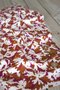 Eglantine & Zoé Flora Caramel VISCOSE POPLIN