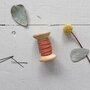 Atelier Brunette - Crepe Chestnut paspelband 2mm