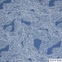 Katia - Lemur Leaves DENIM