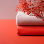  Atelier Brunette GABARDINE  Tangerine
