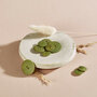 KNEUSJE Atelier Brunette - 20mm - Matcha Leaf Corozo Palm