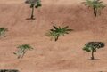 COUPON 55 CM Ansje Handmade - TREES SAND JERSEY