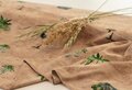 COUPON 55 CM Ansje Handmade - TREES SAND JERSEY
