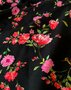 My Dress Made - Ruby - Viscose Crêpe OEKO-TEX® STeP & FSC