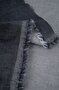  Atelier Brunette Deep Charcoal Woven Velvet COTTON