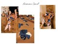 Eglantine & Zoé - Anémona Caramel SWEAT OEKO-TEX
