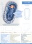 Minikrea Babynest 90900